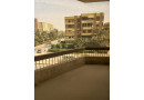shk-lkt-llbyaa-msgl-fy-zhraaa-almaaady-bgoar-nady-oady-dglh-aaly-alsharaa-alryysy-otslh-tmoyl-aakary-small-0