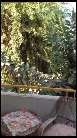shk-llbyaa-fy-klb-almaaady-alsrayat-bsaar-lkt-big-0