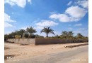 fyla-llbyaa-fy-alryf-alaoroby-tryk-msr-askndry-alshraoy-small-5