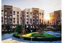 shk-llbyaa-bkmbond-alyks-oyst-alaskndry-baltksyt-small-0