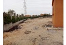fyla-llbyaa-fy-oady-alnkhyl-msr-askndry-alshraoy-small-4