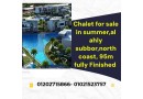 shalyh-llbyaa-95-mtr-fy-smr-alahly-sbor-yslm-kaml-altshtyb-ras-alhkm-alsahl-alshmaly-small-0