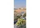 shk-llbyaa-fy-aldoblomasyyn-almktm-mokaa-mmyz-aal-alskn-alfory-small-0