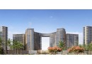 loft-llbyaa-fy-zd-oyst-alshykh-zayd-akl-bktyr-mn-saar-alshrk-small-0