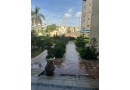 shk-roaa-llbyaa-kmbond-amyrald-zhraaa-almaaady-tshtybat-khas-mokaa-mmyz-ohs-grag-small-0