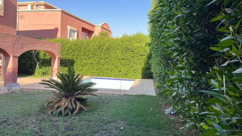 fyla-llbyaa-fy-golf-alslymany-tshtyb-sobr-loks-big-3