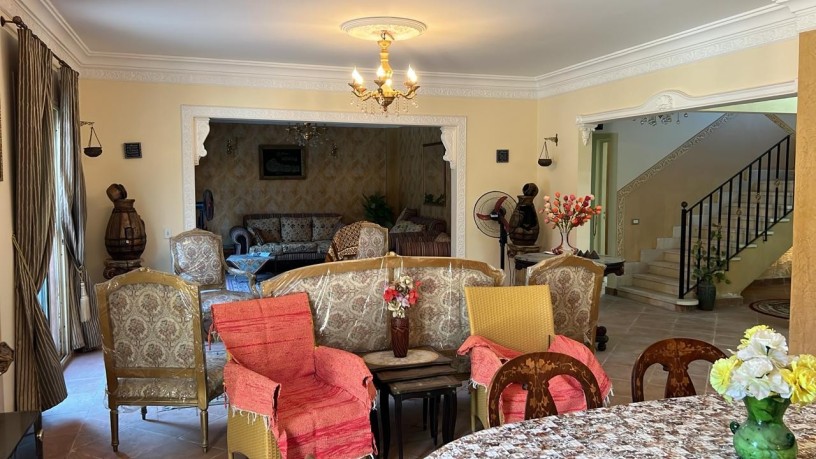 fyla-llbyaa-fy-golf-alslymany-tshtyb-sobr-loks-big-5