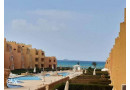 shalyh-llbyaa-fy-kryh-alhyah-2-ras-sdr-small-0