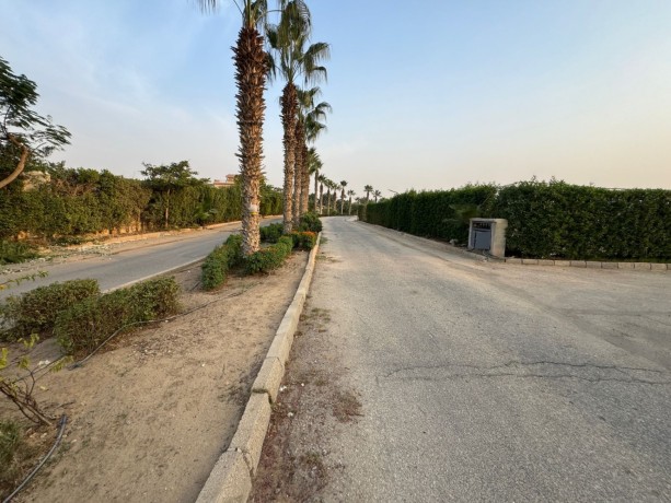 ktaa-ard-mmyz-llbyaa-fy-kmbond-oady-alnkhyl-big-2