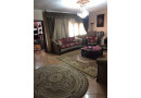 shk-llbyaa-f-mdyn-alfrsan-khlf-brg-sma-dayry-almaaady-small-0