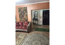 shk-llbyaa-f-mdyn-alfrsan-khlf-brg-sma-dayry-almaaady-small-2