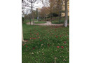 lsraa-albyaa-shk-144-mtr-mdynty-small-0