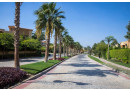 shkh-llbyaa-fy-kmbond-balm-hylz-baltgmaa-alkhams-small-0